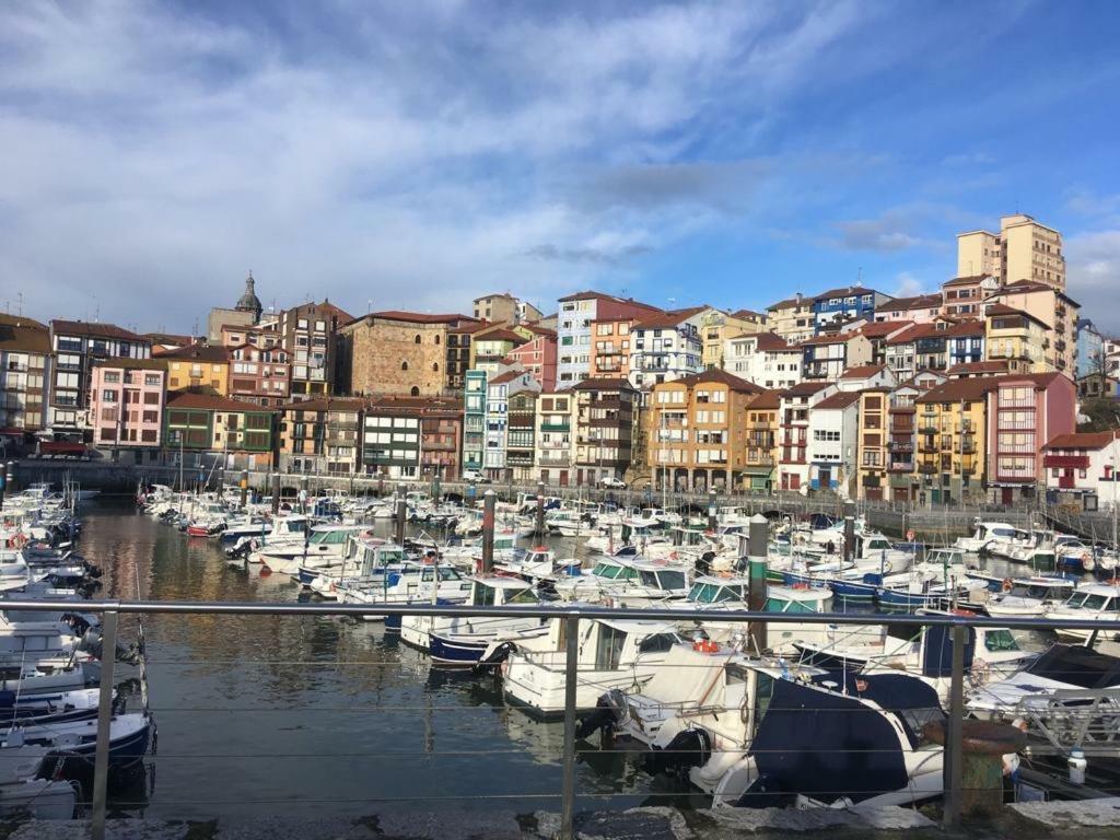 ברמאו Apartamentos Urdaibai 2 מראה חיצוני תמונה